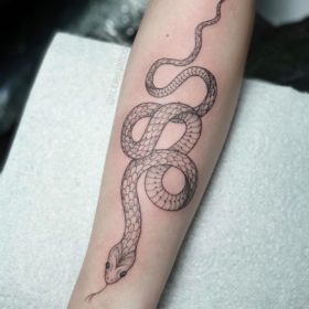 Tibbs tattoo portfolio